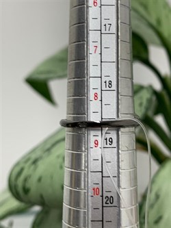 *Кольцо р.18 Микс Аметист Родолит Гранат арт. RR170962рз40110-993 (Вес около 4,68 г) - фото 227309 *Кольцо р.18 Микс Аметист Родолит Гранат арт. RR170962рз40110-993 (Вес около 4,68 г) - фото 227309