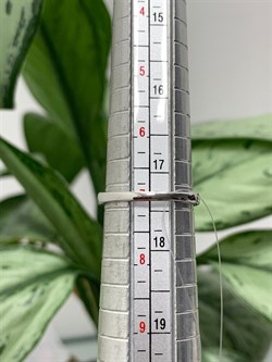 *Кольцо р.17,5 Опал Эфиопия арт. К-3728рк117000-076 (Вес около 2,43 г) - фото 227860