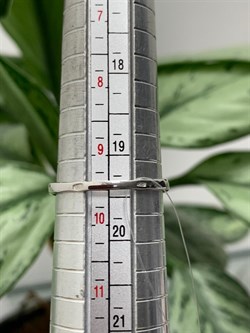 *Кольцо р.19,5 Опал Эфиопия арт. К-3728рк117000-882 (Вес около 2,36 г) - фото 227884