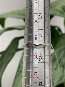 *Кольцо р.19,5 Зеленый Фианит арт. к1075р132-р.19,5-359 (Вес около 1,3 г) - фото 228232 *Кольцо р.19,5 Зеленый Фианит арт. к1075р132-р.19,5-359 (Вес около 1,3 г) - фото 228232