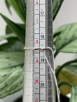 *Кольцо р.18,5 Листики арт. К-3743-Р-531 (Вес около 1,91 г) - фото 228288 *Кольцо р.18,5 Листики арт. К-3743-Р-531 (Вес около 1,91 г) - фото 228288