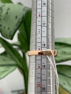 *Кольцо р.18,5 Танзанит Африка  арт. п1-527зр447-661 Вес 2,18 г - фото 228364 *Кольцо р.18,5 Танзанит Африка  арт. п1-527зр447-661 Вес 2,18 г - фото 228364