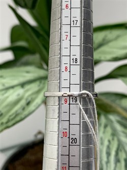 *Кольцо р.19 Белый Фианит арт. 1-199р200-611 (Вес около 1,8 г) - фото 228411