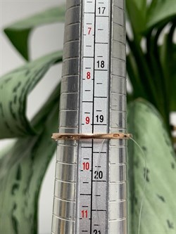 *Кольцо р.19,5 Танзанит Африка арт. К-7208зс464-010 Вес 1,57 г - фото 228453 *Кольцо р.19,5 Танзанит Африка арт. К-7208зс464-010 Вес 1,57 г - фото 228453