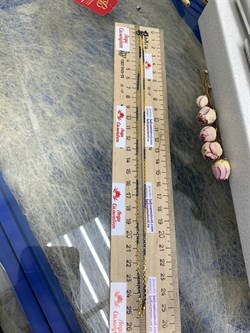 *Цепь р.50 Якорь арт. 8230А5п-800 (Вес 3,70 г) - фото 231218 *Цепь р.50 Якорь арт. 8230А5п-800 (Вес 3,70 г) - фото 231218