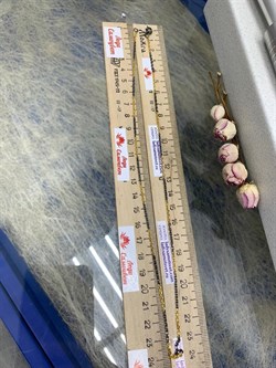 *Цепь р.55 Якорь арт. 8230А5п-077 Вес 3,60 г - фото 231227 *Цепь р.55 Якорь арт. 8230А5п-077 Вес 3,60 г - фото 231227