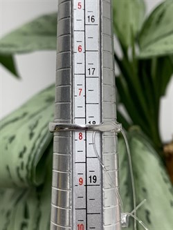 *Кольцо р.18 Бирюза Аризона арт. К1382Ю/Ag-619/7-291 вес 3,79 г - фото 234412 *Кольцо р.18 Бирюза Аризона арт. К1382Ю/Ag-619/7-291 вес 3,79 г - фото 234412