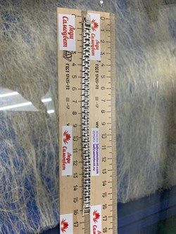 *Браслет р.16 Марказит арт. BR366-751 вес 23,36 г - фото 235456 *Браслет р.16 Марказит арт. BR366-751 вес 23,36 г - фото 235456