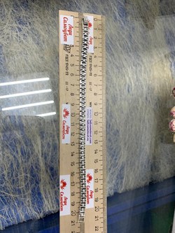 *Браслет р.21 Марказит арт. BR366-996 вес 27,35 г - фото 235476 *Браслет р.21 Марказит арт. BR366-996 вес 27,35 г - фото 235476