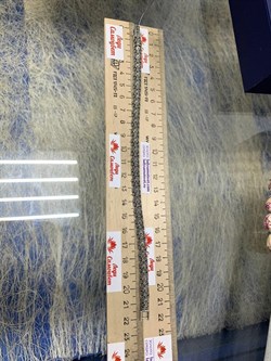 *Браслет р.22 Марказит арт. BR771-815 вес 25,19 г - фото 235559 *Браслет р.22 Марказит арт. BR771-815 вес 25,19 г - фото 235559