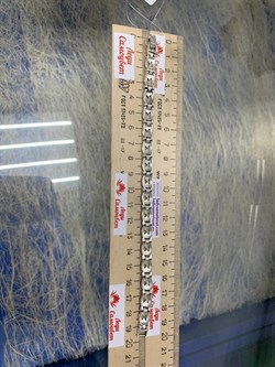 *Браслет р.19,5 Марказит арт. Б 443-834 вес 23,04 г - фото 235620 *Браслет р.19,5 Марказит арт. Б 443-834 вес 23,04 г - фото 235620