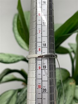 *Кольцо р.18,5 Голубой Топаз арт. К1760/Ag-607/21-554 вес 2,27 г - фото 238276