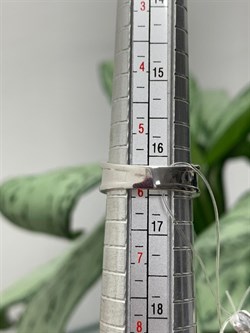 *Кольцо р.16,5 Орхидея Микс Турмалин Шпинель арт. К1010Ю/Ag-607/1/3/4-559 вес 2,96 г - фото 238381