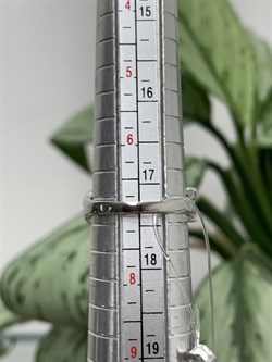 *Кольцо р.17,5 Турмалины Забайкалье арт. К1529Ю/Ag-607/6-184 вес 2,69 г - фото 238629