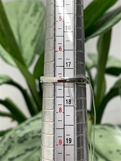 *Кольцо р.17,5 Орхидея Микс Танзанит Турмалин арт. К1061/Ag-607/3/8-549 вес 2,09 г - фото 239412