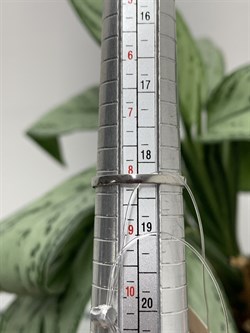 *Кольцо р.18,5 Орхидея Иолит Африка арт. К1624Ю/Ag-617/13/14-935 вес 2,58 г - фото 240944 *Кольцо р.18,5 Орхидея Иолит Африка арт. К1624Ю/Ag-617/13/14-935 вес 2,58 г - фото 240944