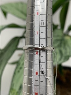 *Кольцо р.18 Гранат Мозамбик арт. К1262/Ag-607/11-872 вес около 2 г - фото 242497 *Кольцо р.18 Гранат Мозамбик арт. К1262/Ag-607/11-872 вес около 2 г - фото 242497