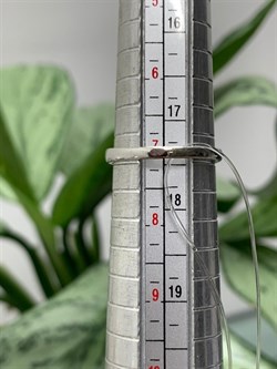 *Кольцо р.17,5 Орхидея Микс Родолит Шпинель арт. К1131/Ag-607/1/9-282 вес 2,39 г - фото 242903 *Кольцо р.17,5 Орхидея Микс Родолит Шпинель арт. К1131/Ag-607/1/9-282 вес 2,39 г - фото 242903