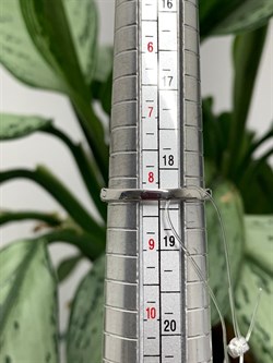 *Кольцо р.18,5 Зеленый Агат арт. К1268/Ag-617/10-459 (вес около 2,1-2,3 г) - фото 243697