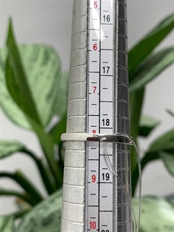 *Кольцо р.18,5 Зеленый Агат арт. К1269/Ag-617/10-900 (вес около 1,91 г) - фото 243707