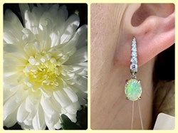 *Серьги Опал Эфиопия арт. С1364Ю/Ag-617/5-006 вес 3,74 г - фото 243833