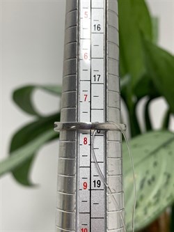 *Кольцо р.18 Орхидея Хризолит арт. К1154Ю/Ag-609/1/15-492 вес 3,18 г - фото 244654