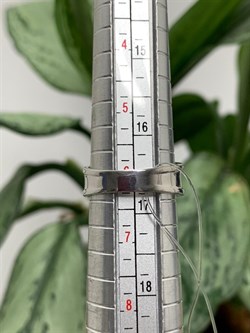 *Кольцо р.16,5 Орхидея Микс Танзанит Шпинель арт. К1010Ю/Ag-607/1/8-761 вес 2,9 г - фото 245092 *Кольцо р.16,5 Орхидея Микс Танзанит Шпинель арт. К1010Ю/Ag-607/1/8-761 вес 2,9 г - фото 245092