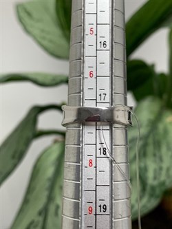 *Кольцо р.17,5 Орхидея Микс Танзанит Шпинель арт. К1010Ю/Ag-607/1/8-792 вес 2,95 г - фото 245102