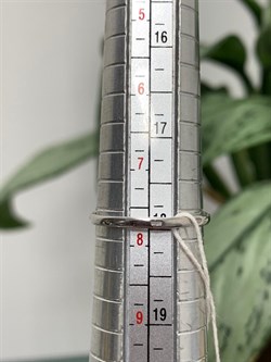 *Кольцо р.18 Шоколадный Жемчуг д.9,5*10 мм арт. 1.0816.0.b-681 Вес 3,79 г - фото 246877 *Кольцо р.18 Шоколадный Жемчуг д.9,5*10 мм арт. 1.0816.0.b-681 Вес 3,79 г - фото 246877