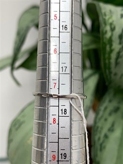 *Кольцо р.17,5 Серебристый Жемчуг д.9,5-10мм арт. 1.0808.0.b-139 Вес 2,43 г - фото 247487 *Кольцо р.17,5 Серебристый Жемчуг д.9,5-10мм арт. 1.0808.0.b-139 Вес 2,43 г - фото 247487