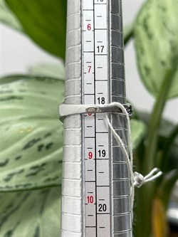 *Кольцо р.18 Зеленый Агат Фианит Микс арт. AS-R00457-X-W-Gg-X-W-656 вес 6,15 г - фото 248673