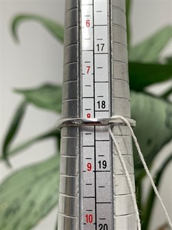 *Кольцо р.18,5 Белый Жемчуг д.8*8,5мм арт. 1.0372.0.b-509 Вес 3,05 г - фото 249582