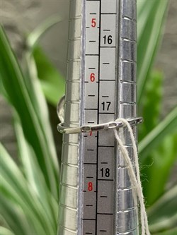 *Кольцо р.17,5 Серебристый Жемчуг д.10*10,5мм арт. 1.0354.9.b-152 Вес 3,76 г - фото 250125 *Кольцо р.17,5 Серебристый Жемчуг д.10*10,5мм арт. 1.0354.9.b-152 Вес 3,76 г - фото 250125