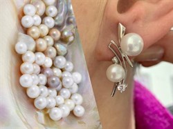 *Серьги Белый Жемчуг д.7*7,5 д.8*8,5мм арт. 2.0412.0.b-051 Вес 6,12 г - фото 250148 *Серьги Белый Жемчуг д.7*7,5 д.8*8,5мм арт. 2.0412.0.b-051 Вес 6,12 г - фото 250148