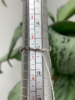 *Кольцо р.17 Жемчуг Микс д.6*6,5мм арт. 1.0301.0.b-885 Вес 1,69 г - фото 250592 *Кольцо р.17 Жемчуг Микс д.6*6,5мм арт. 1.0301.0.b-885 Вес 1,69 г - фото 250592