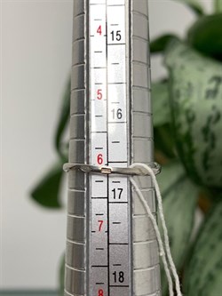 *Кольцо р.16,5 Серебристый Жемчуг д.7,5*8мм арт. 1.0814.0.b-617 Вес 1,76 г - фото 251298 *Кольцо р.16,5 Серебристый Жемчуг д.7,5*8мм арт. 1.0814.0.b-617 Вес 1,76 г - фото 251298