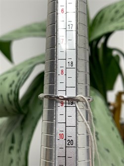 *Кольцо р.19 Белый Жемчуг д.10,5*11мм арт. 1.0441.0.b-254 Вес 3,58 г - фото 251316 *Кольцо р.19 Белый Жемчуг д.10,5*11мм арт. 1.0441.0.b-254 Вес 3,58 г - фото 251316