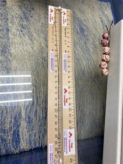 *Ожерелье р.50 Белый Жемчуг д.4*5 д.6*7мм арт. 6.U003.d.f-736 Вес 3,77 г - фото 252722