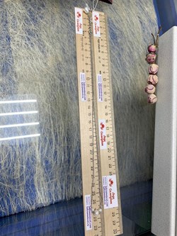 *Ожерелье р.50 Белый Жемчуг д.4*5 д.6*7мм арт. 6.U003.d.f-736 Вес 3,77 г - фото 252723