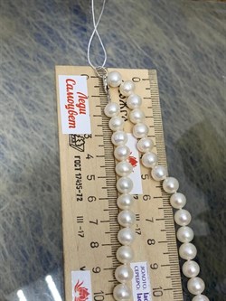 *Ожерелье р.55 д.7*8 Белый Жемчуг арт. 810800520002.055-567 - фото 252930 *Ожерелье р.55 д.7*8 Белый Жемчуг арт. 810800520002.055-567 - фото 252930