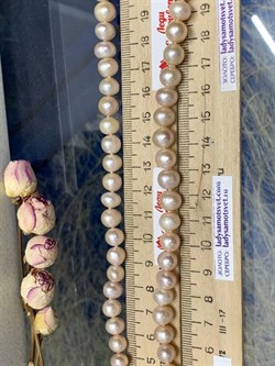 *Ожерелье р.50 д.6*7,5 Розовый Жемчуг арт. 81325ДД00002.050-794 - фото 253230 *Ожерелье р.50 д.6*7,5 Розовый Жемчуг арт. 81325ДД00002.050-794 - фото 253230