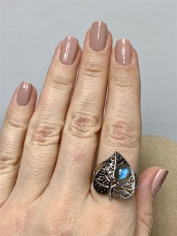 *Кольцо р.19 Лабрадор арт. SM-R02902-X-WB-GR-X-X-177 вес 5,02 г - фото 254822 *Кольцо р.19 Лабрадор арт. SM-R02902-X-WB-GR-X-X-177 вес 5,02 г - фото 254822