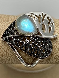 *Кольцо р.20 Лабрадор арт. SM-R02902-X-WB-GR-X-X-361 вес 5,77 г - фото 254841 *Кольцо р.20 Лабрадор арт. SM-R02902-X-WB-GR-X-X-361 вес 5,77 г - фото 254841