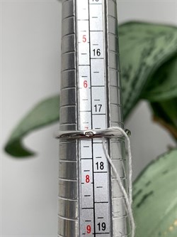 *Кольцо р.17,5 Коньячный Фианит Микро Вставки арт. SL-R63004-X-W-X-X-BR-792 вес 3,7 г - фото 262555 *Кольцо р.17,5 Коньячный Фианит Микро Вставки арт. SL-R63004-X-W-X-X-BR-792 вес 3,7 г - фото 262555