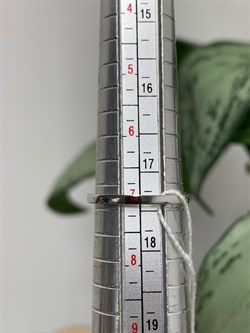 *Кольцо р.17,5 Золотистый Фианит Микро Вставки арт. SL-R01310-X-W-X-X-Or-339 вес 1,47 г - фото 263150