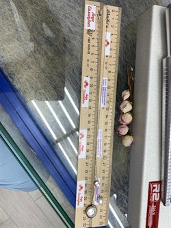 *Колье р.45-50 д.16-20 Белый Жемчуг Фианит Облачка арт. RB-N359-1-X-W-PN-X-W-345 вес 5,93 г - фото 263470