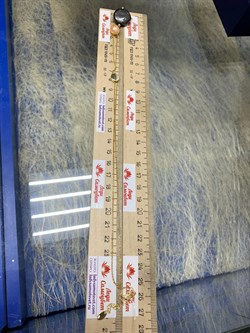 *Колье р.45-50 Розовый Жемчуг Фианит Облачка арт. RB-N359-4-X-BL-PN-X-W-936 вес 6,4 г - фото 263500 *Колье р.45-50 Розовый Жемчуг Фианит Облачка арт. RB-N359-4-X-BL-PN-X-W-936 вес 6,4 г - фото 263500