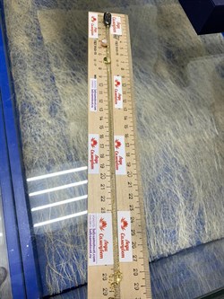 *Колье р.45-50 Розовый Жемчуг Фианит Облачка арт. RB-N361-4-X-BL-PN-X-W-115 вес 5,45 г - фото 263511 *Колье р.45-50 Розовый Жемчуг Фианит Облачка арт. RB-N361-4-X-BL-PN-X-W-115 вес 5,45 г - фото 263511