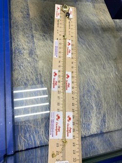 *Колье р.45-50 Черный Жемчуг Фианит Облачка арт. RB-N359-2-X-L-PN-X-W-172 вес 6 г - фото 263578 *Колье р.45-50 Черный Жемчуг Фианит Облачка арт. RB-N359-2-X-L-PN-X-W-172 вес 6 г - фото 263578