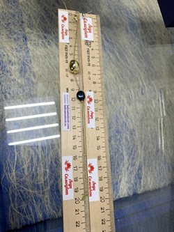 *Браслет р.16,5-20 Черный Жемчуг Барокко Фианит Облачка арт. RB-B336-1-X-L-PN-X-W-267 вес 4,2 г - фото 263794 *Браслет р.16,5-20 Черный Жемчуг Барокко Фианит Облачка арт. RB-B336-1-X-L-PN-X-W-267 вес 4,2 г - фото 263794